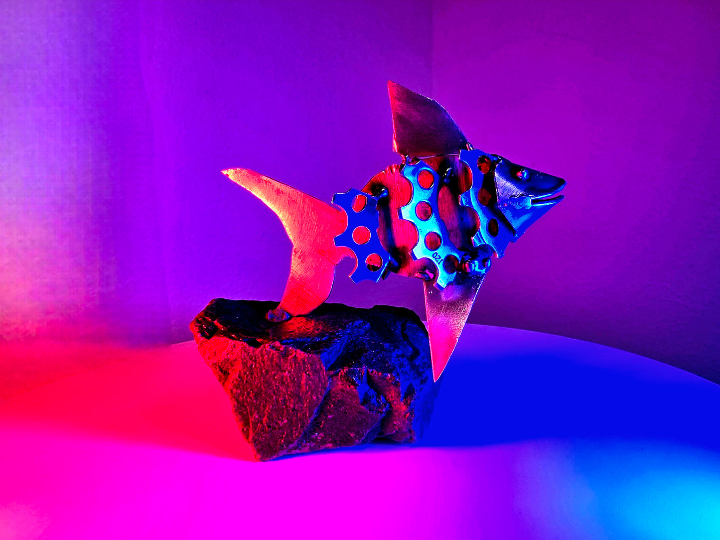 Barry the Goldfish (Gallery-only)