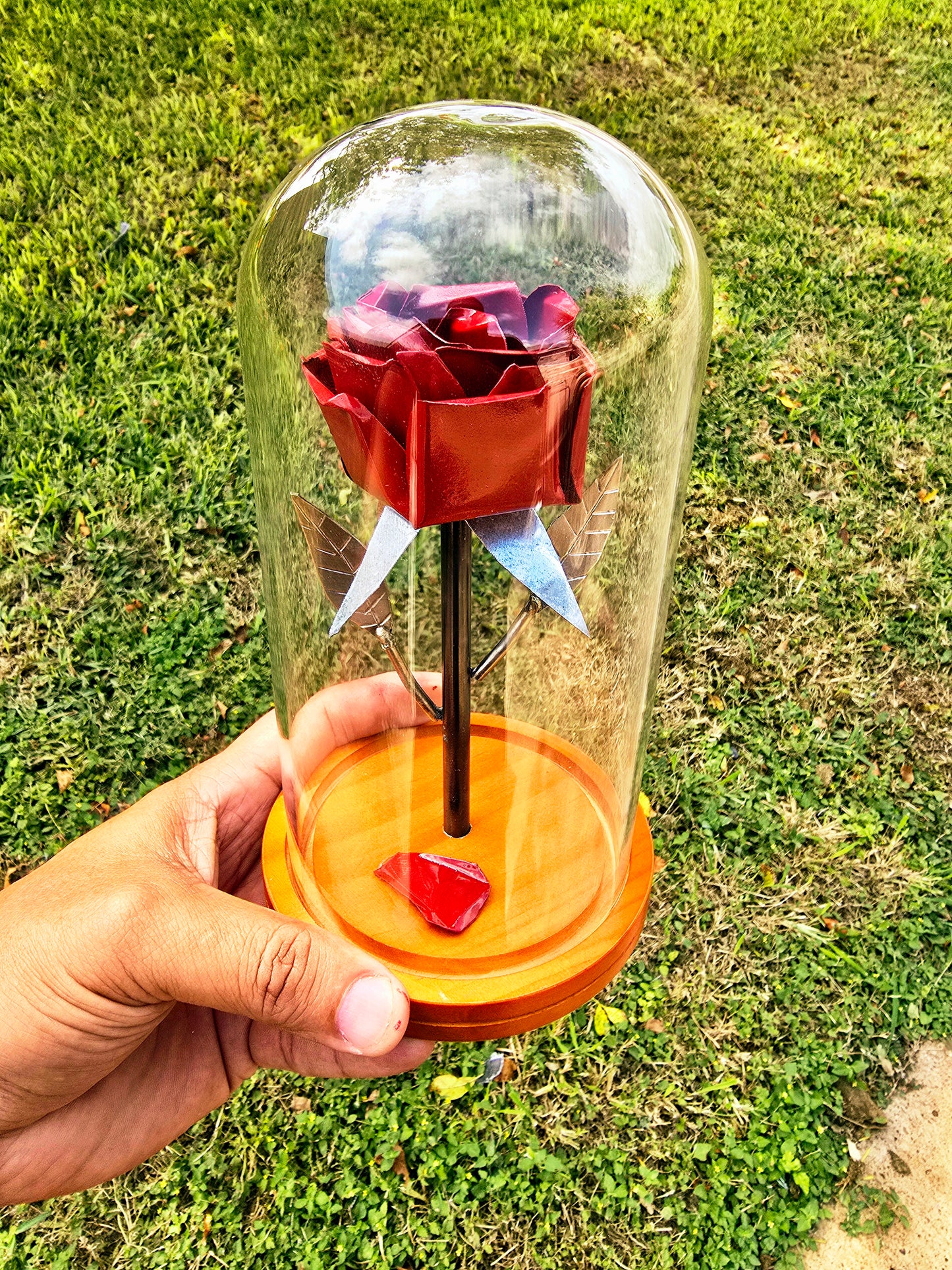 Enchanted Rose