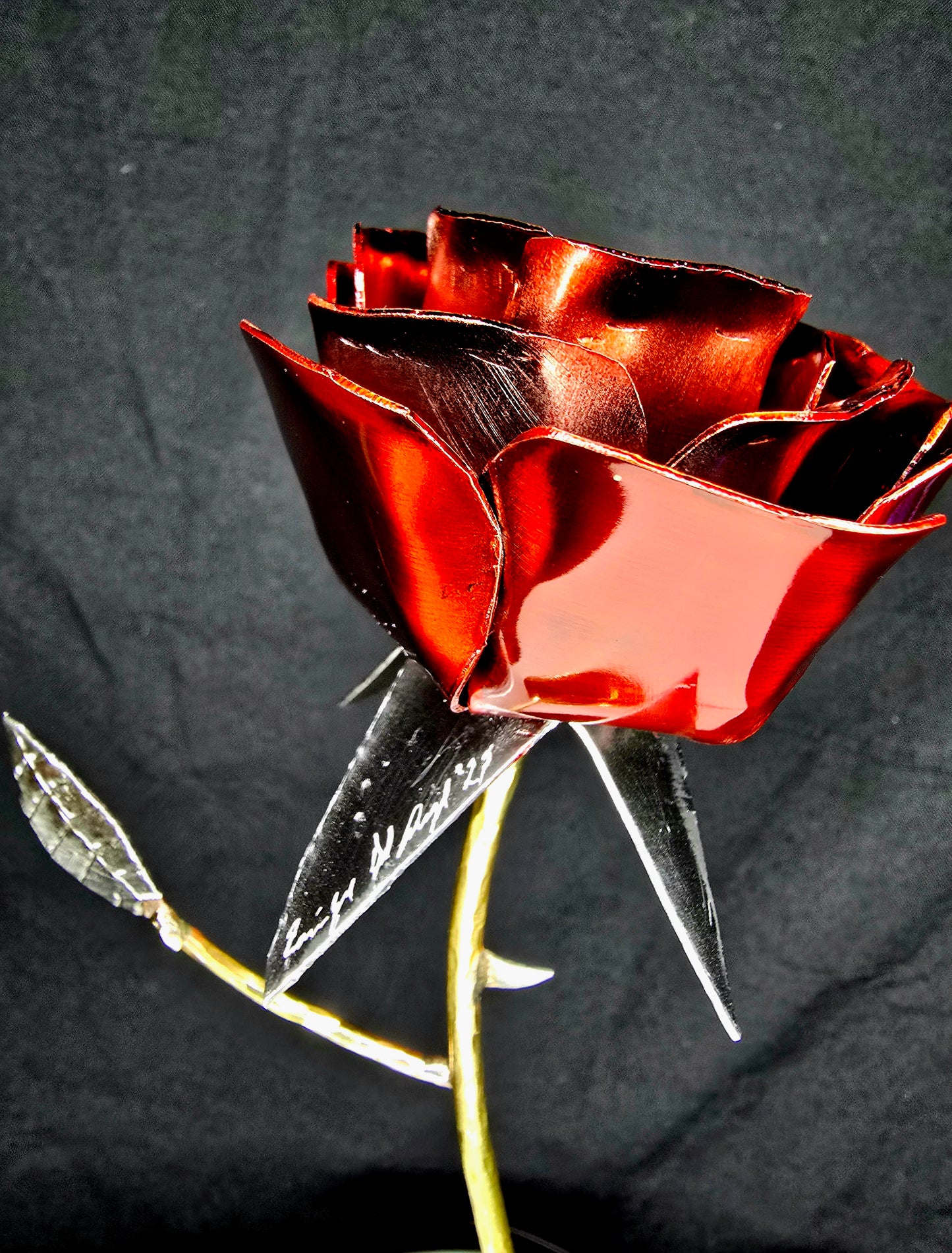 From Weathering Storms, comes a Blossom with Thorns