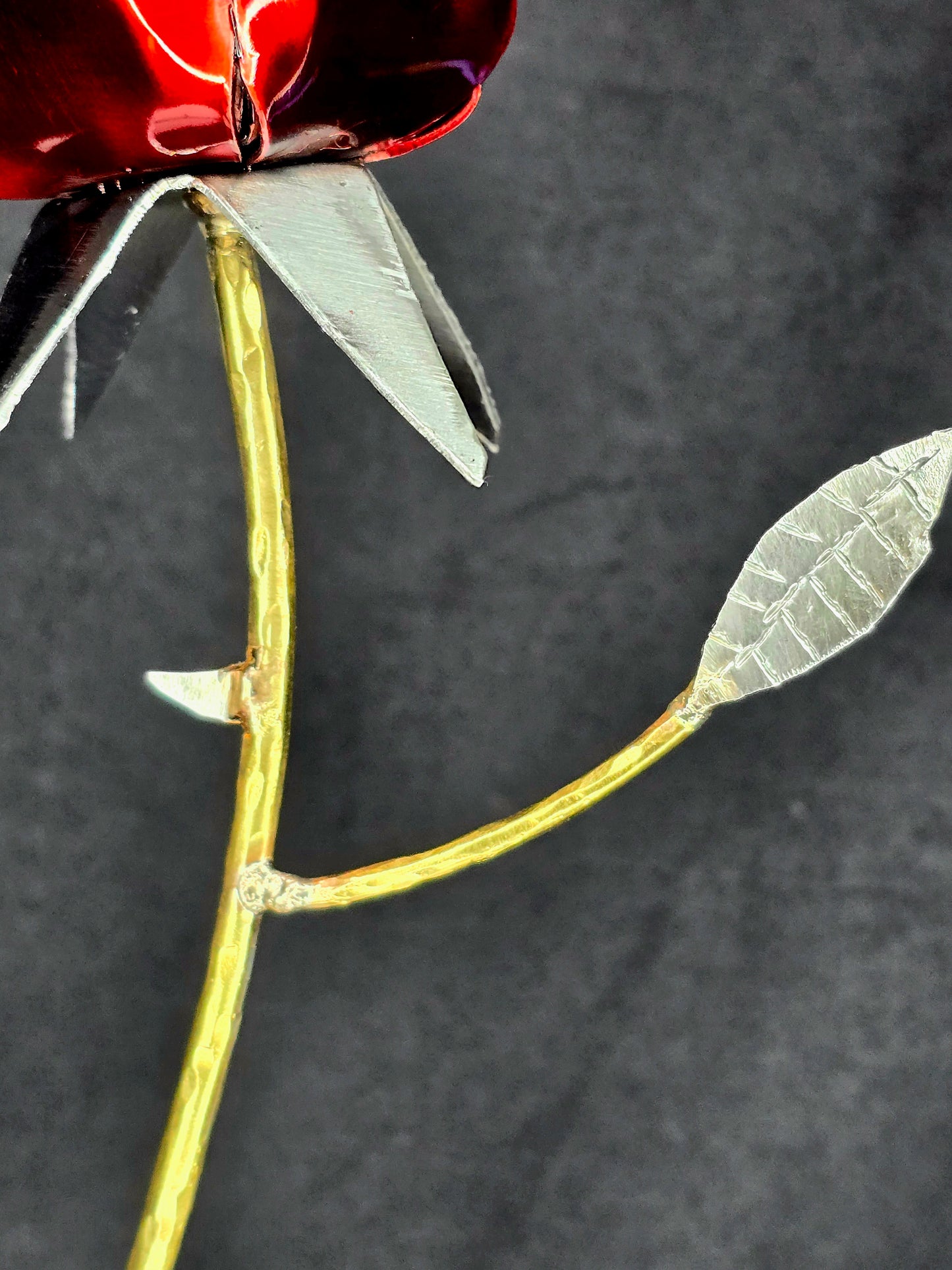 From Weathering Storms, comes a Blossom with Thorns