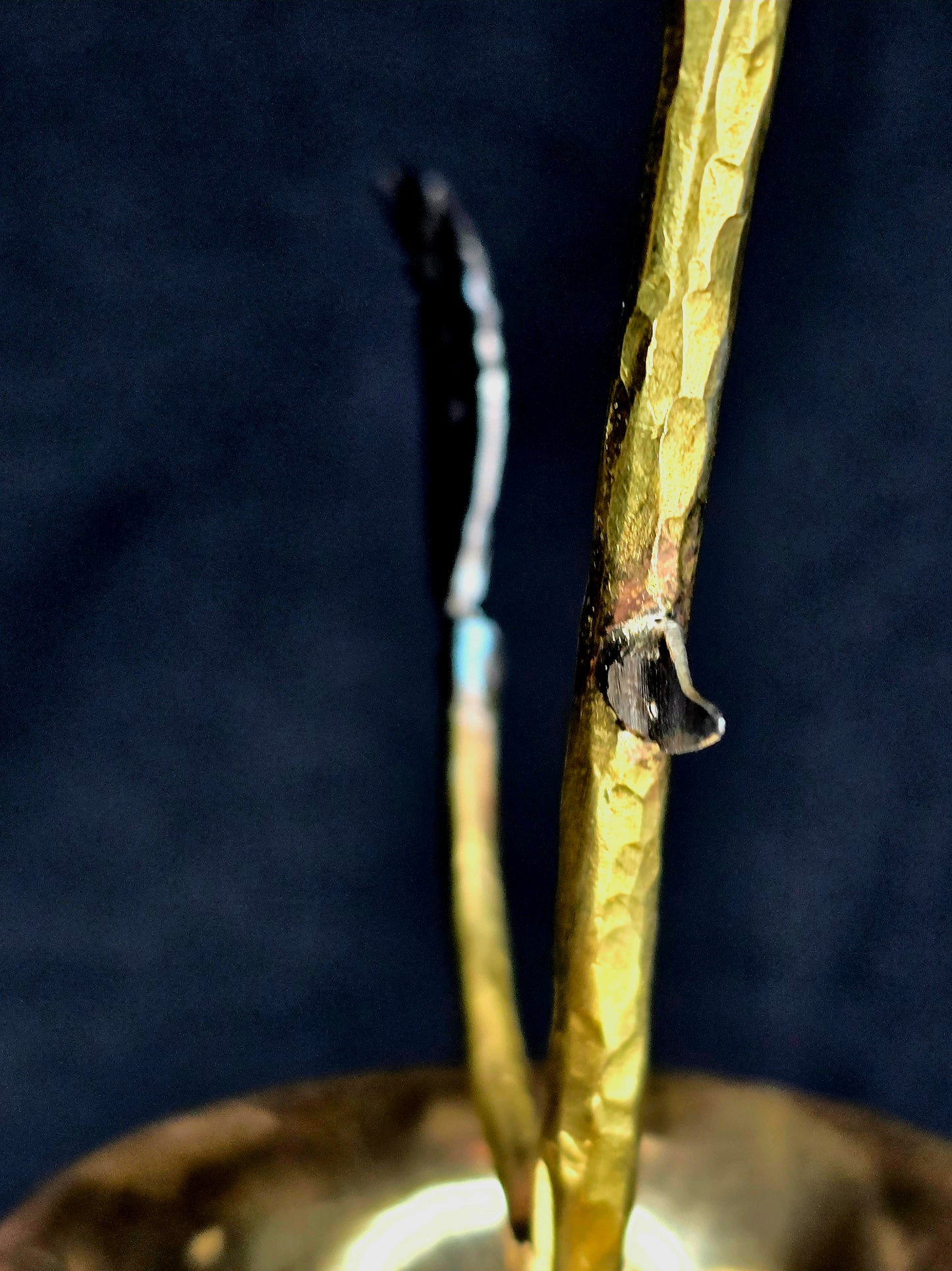 From Weathering Storms, comes a Blossom with Thorns