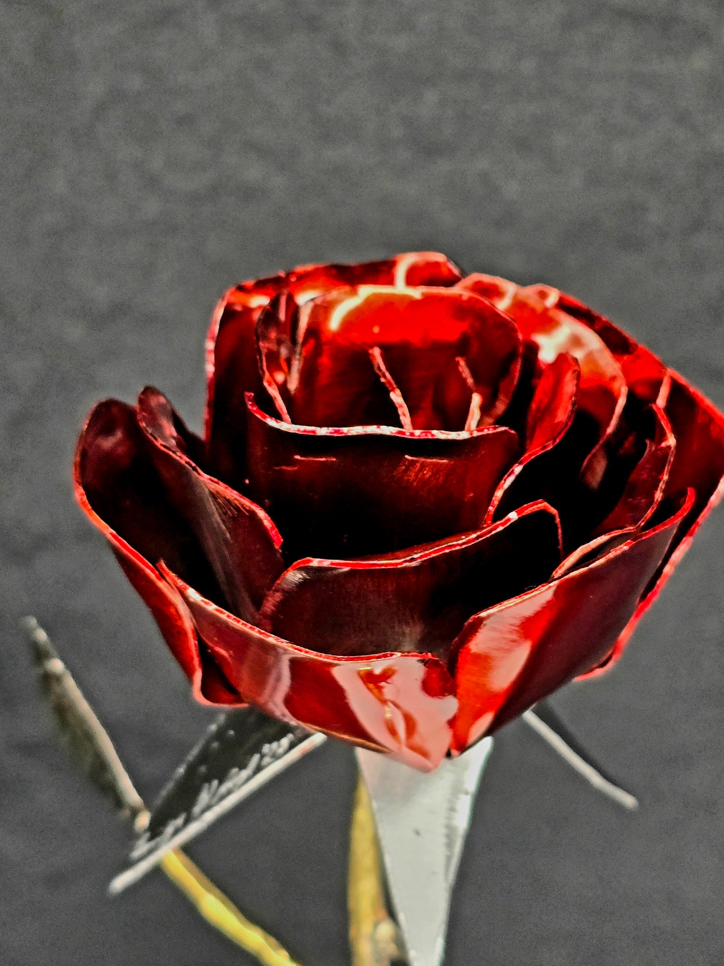 From Weathering Storms, comes a Blossom with Thorns