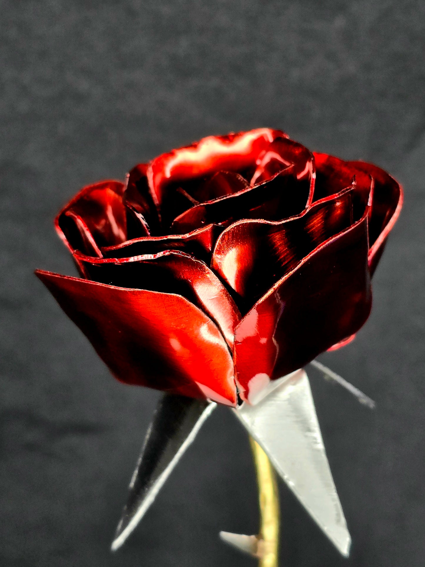 From Weathering Storms, comes a Blossom with Thorns