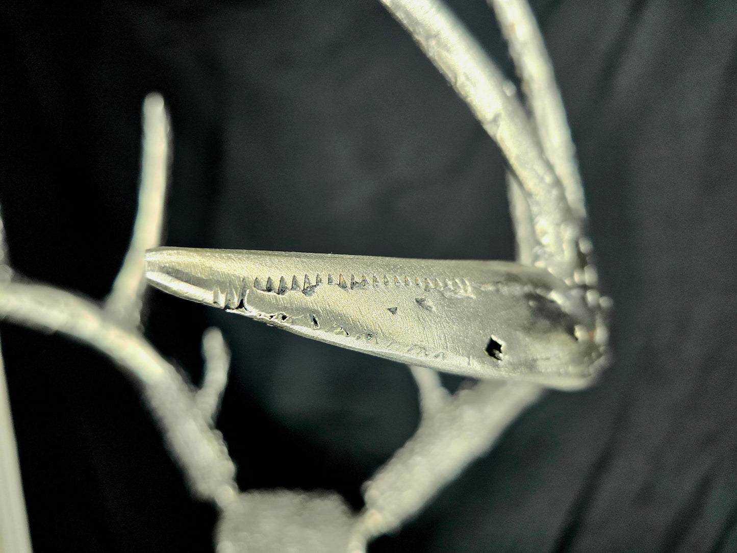 The Persistence of Life Through Time