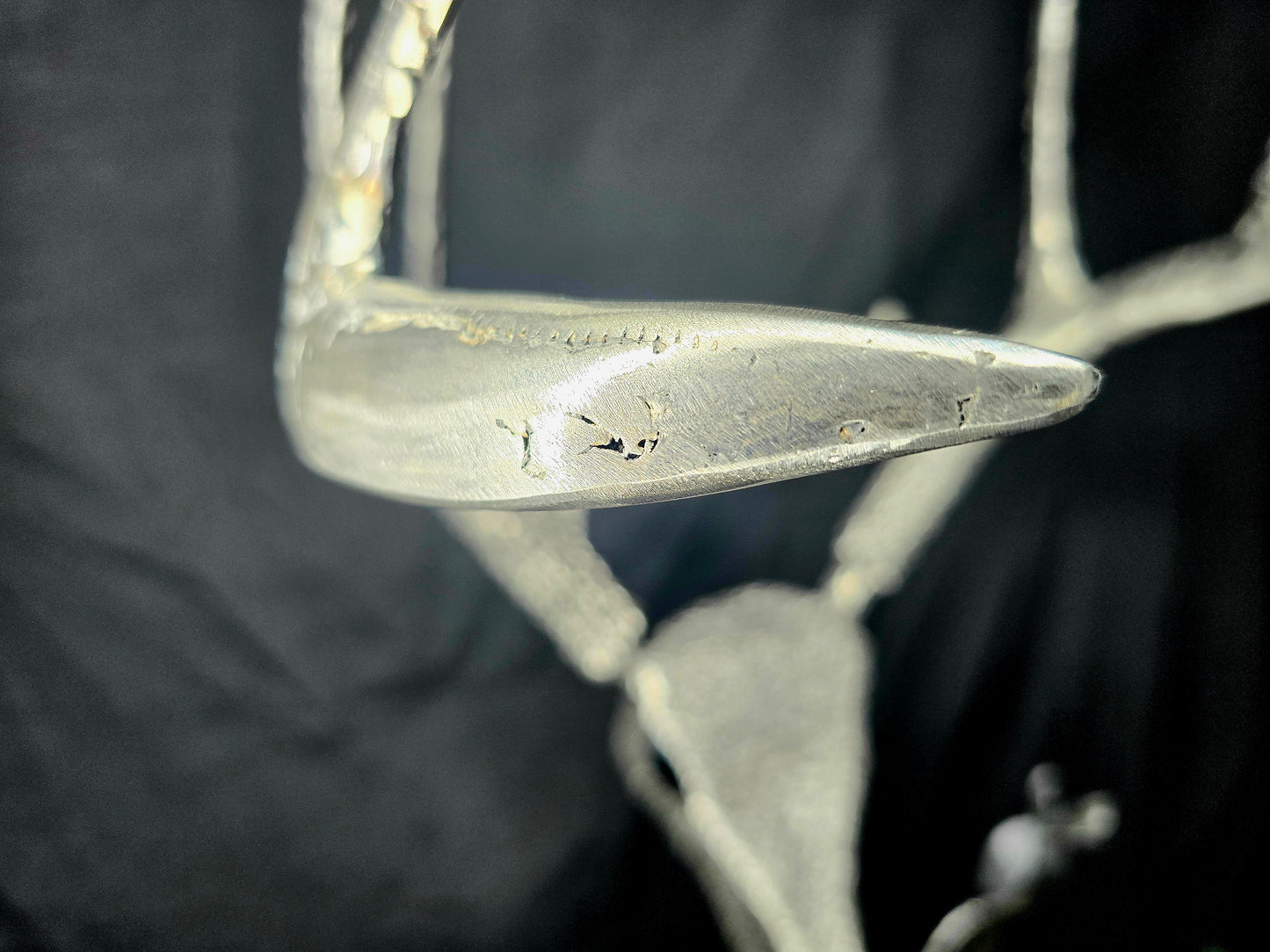 The Persistence of Life Through Time