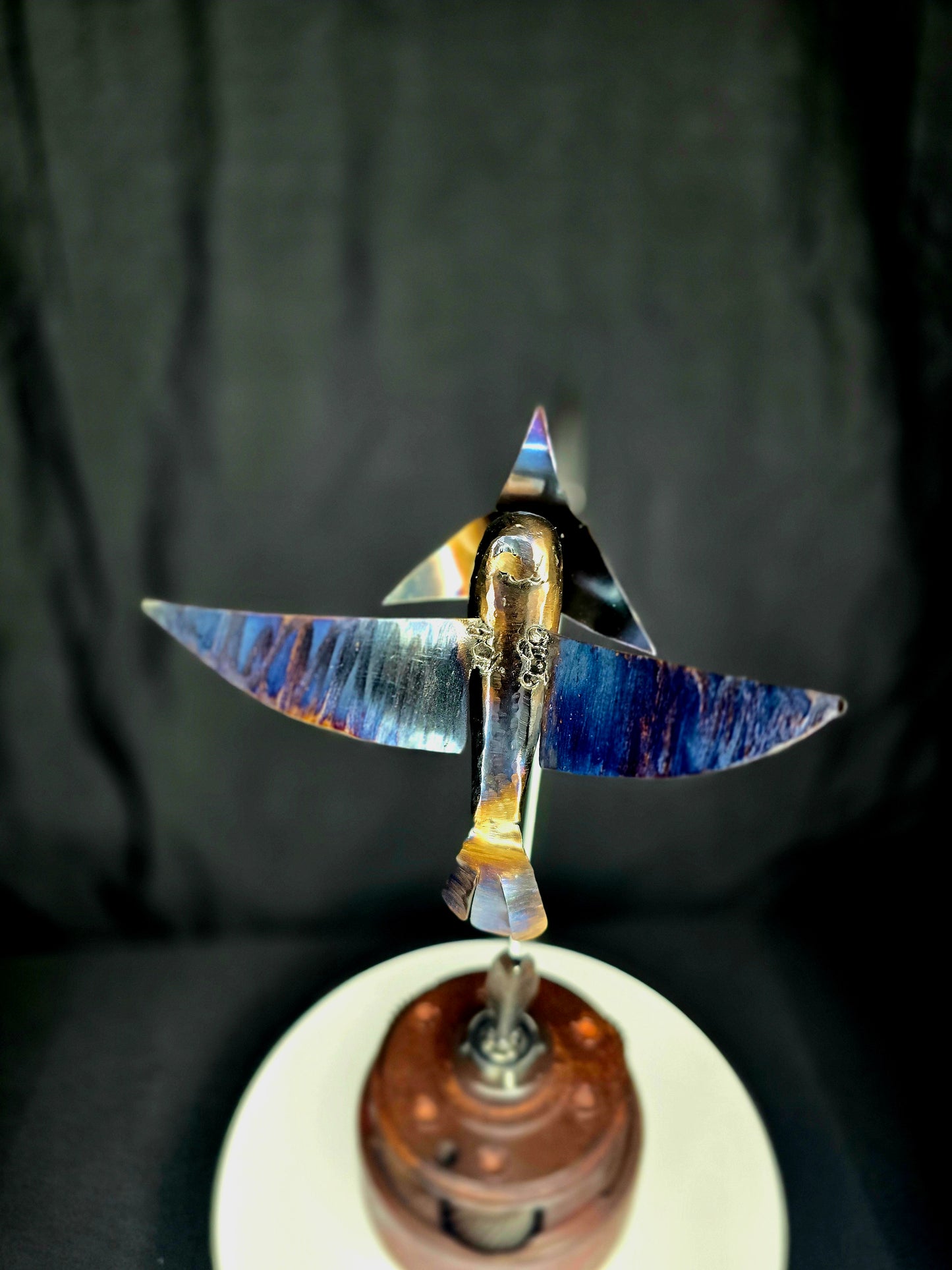 Colibrí Migratorio